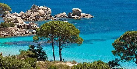 Vicelejo * Porto-Vecchio (Corsica)